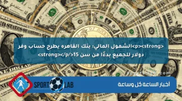 <p><strong>الشمول المالي: بنك القاهرة يطرح حساب وفر دولار للجميع بدءًا من سن 15</strong></p>